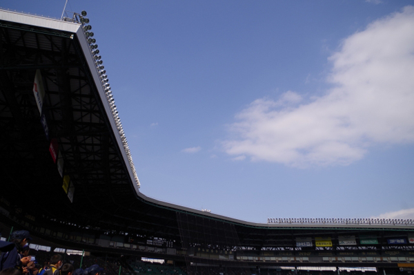 日本のプロ野球